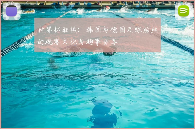 世界杯狂热：韩国与德国足球粉丝的观赛文化与趣事分享