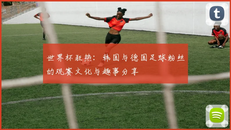 世界杯狂热：韩国与德国足球粉丝的观赛文化与趣事分享